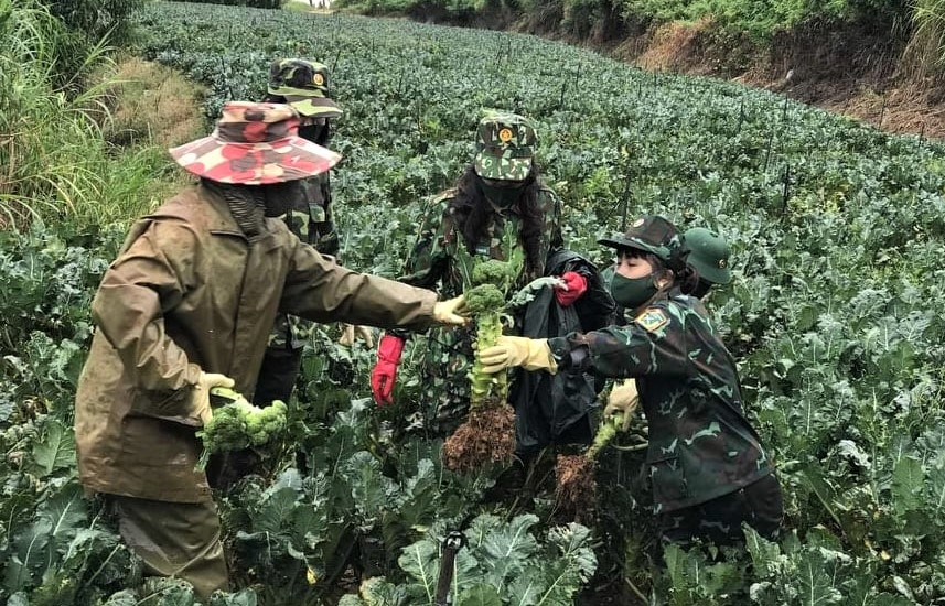 Lâm Đồng hỗ trợ Thành phố Hồ Chí Minh 5.000 tấn nông sản phục vụ phòng, chống dịch